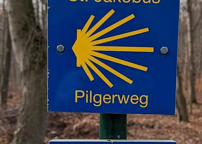 Apartment Barrierefrei - Privatparkplatz - Zentral Im Grünen *